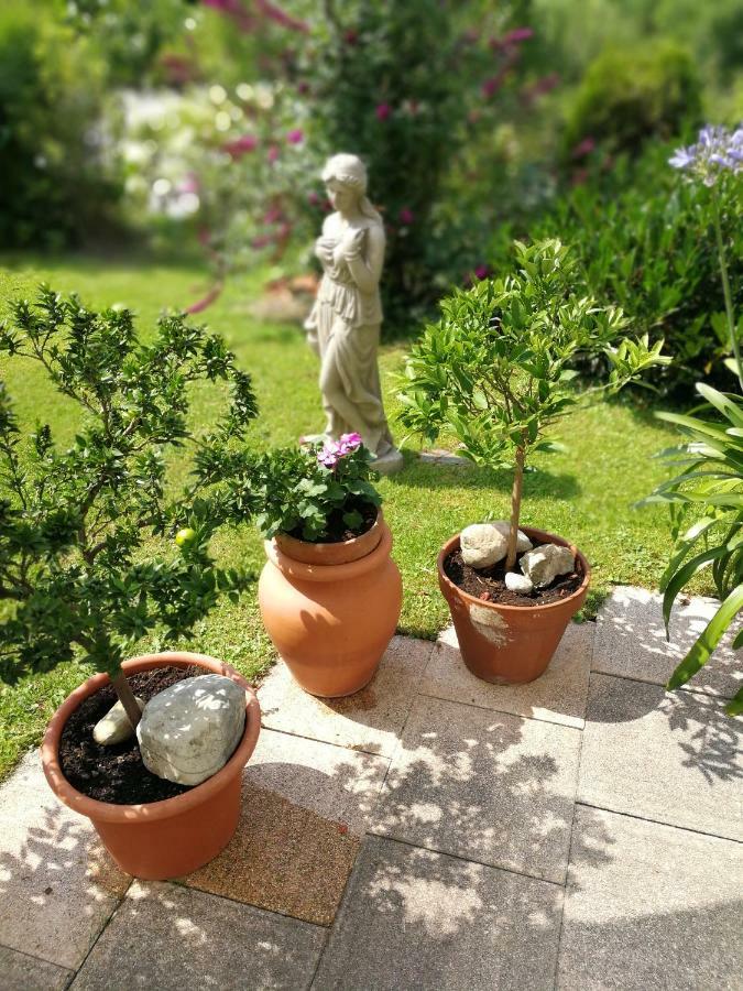 Haus Marianne Appartement Hof bei Salzburg Buitenkant foto